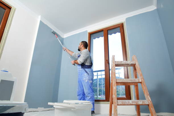Best Black Mold Removal  in San Bruno, CA