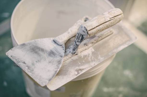 Best Mold-Related Health Consultation  in San Bruno, CA