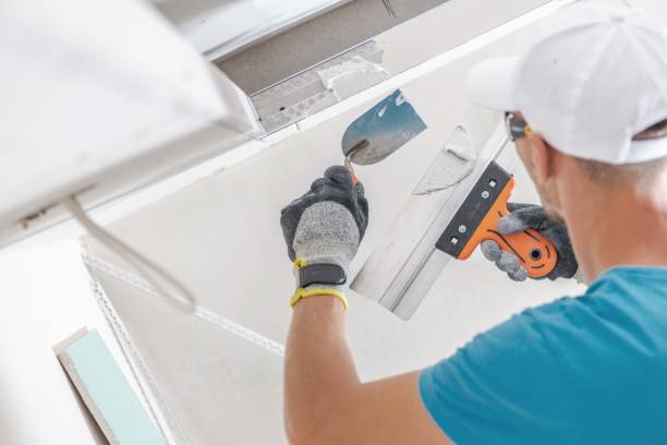 Mold Remediation for Rental Properties in San Bruno, CA